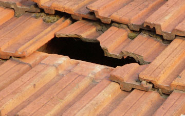 roof repair Doddshill, Norfolk
